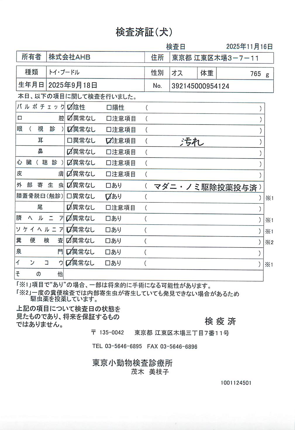 トイ・プードル