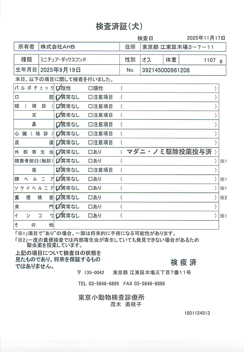 ミニチュア・ダックスフンド