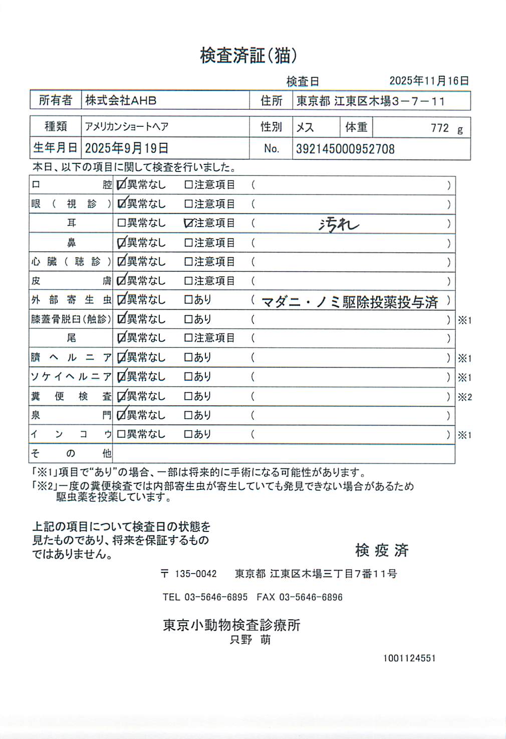 アメリカンショートヘア