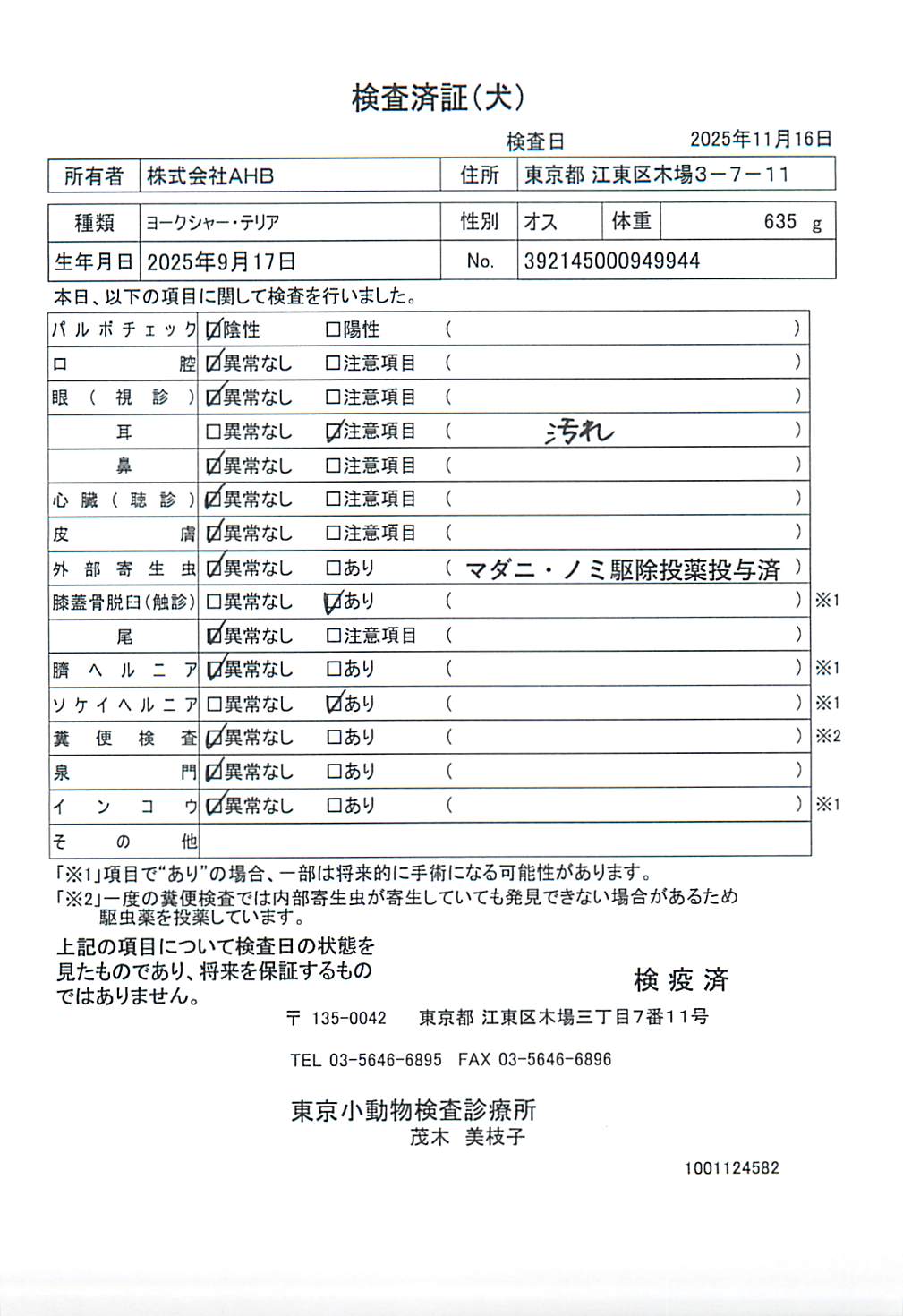 ヨークシャー・テリア