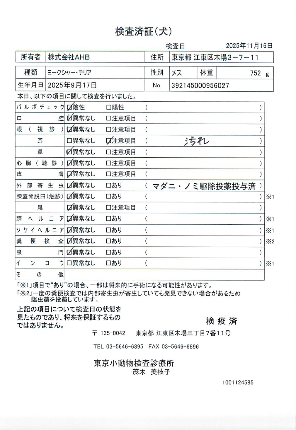 ヨークシャー・テリア
