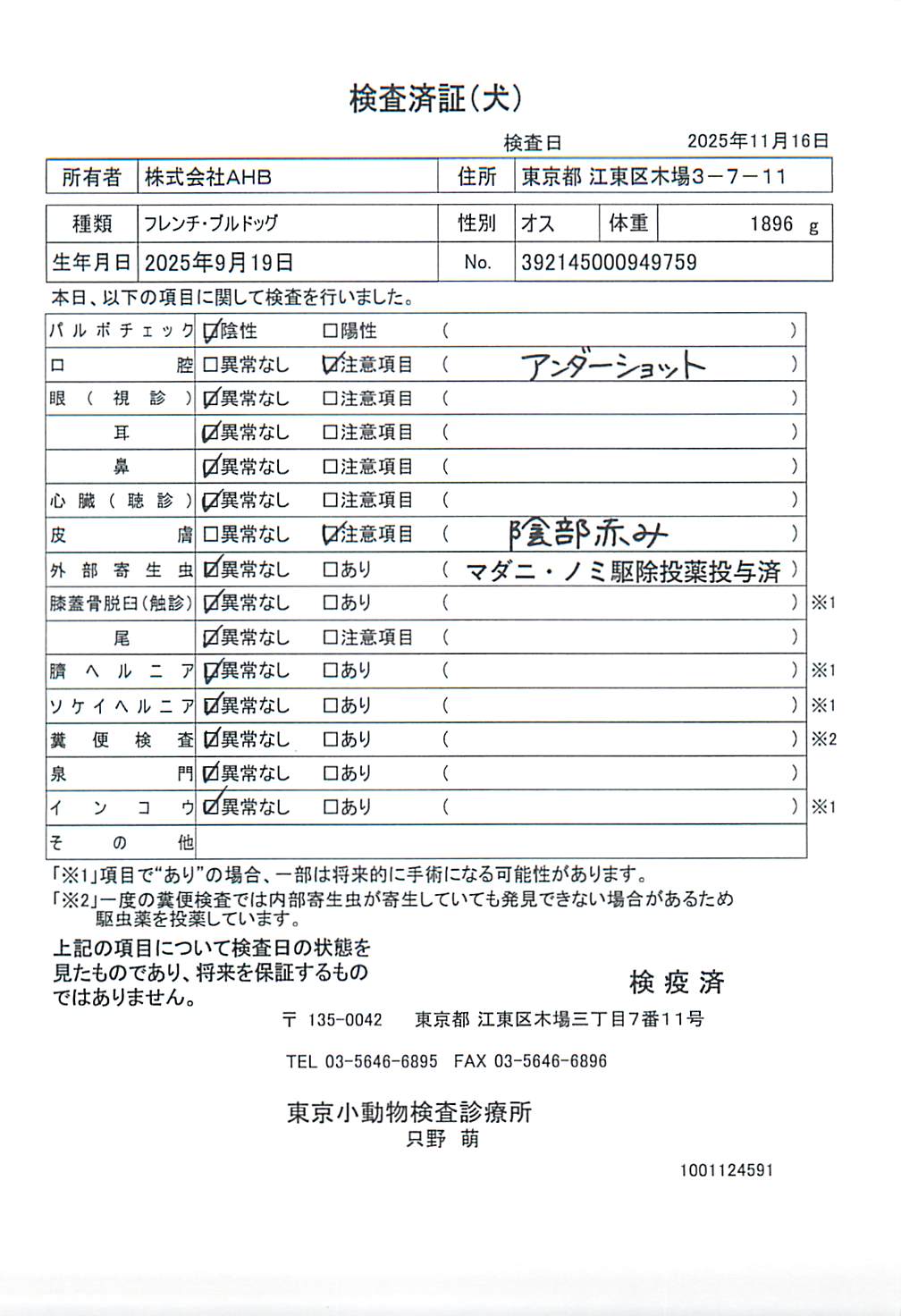 フレンチ・ブルドッグ