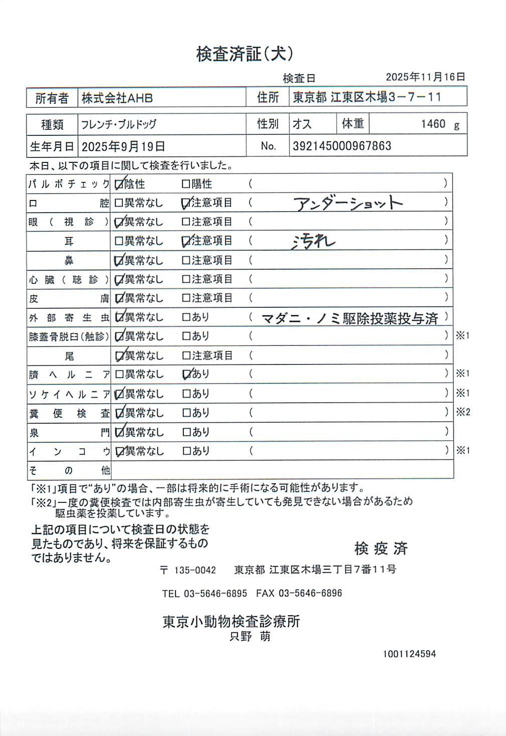 フレンチ・ブルドッグ