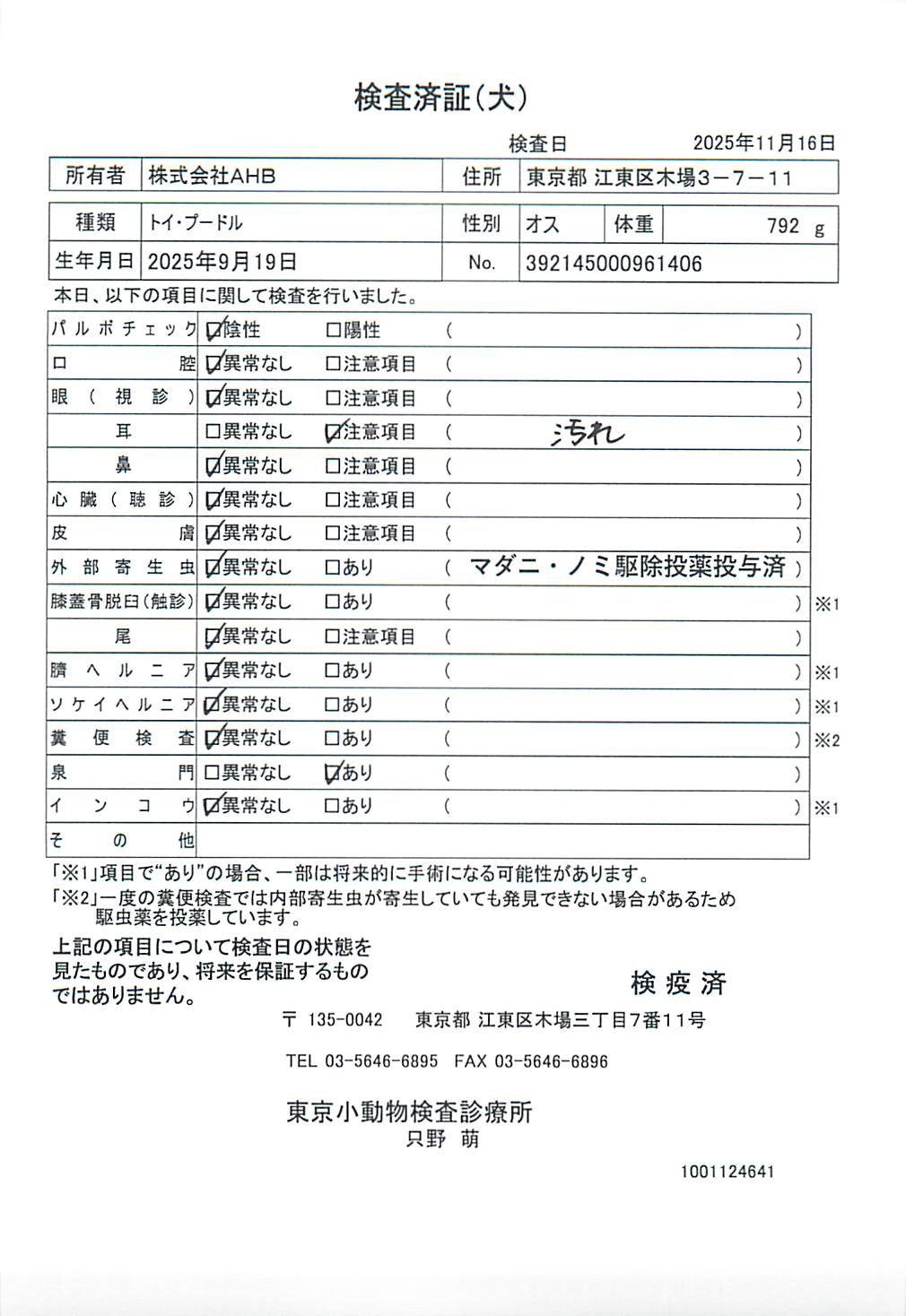 トイ・プードル