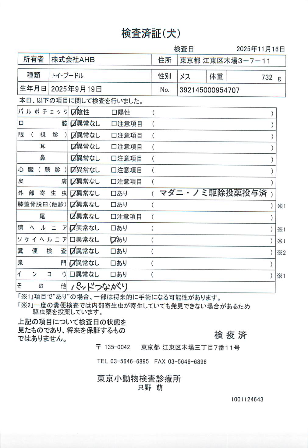 トイ・プードル