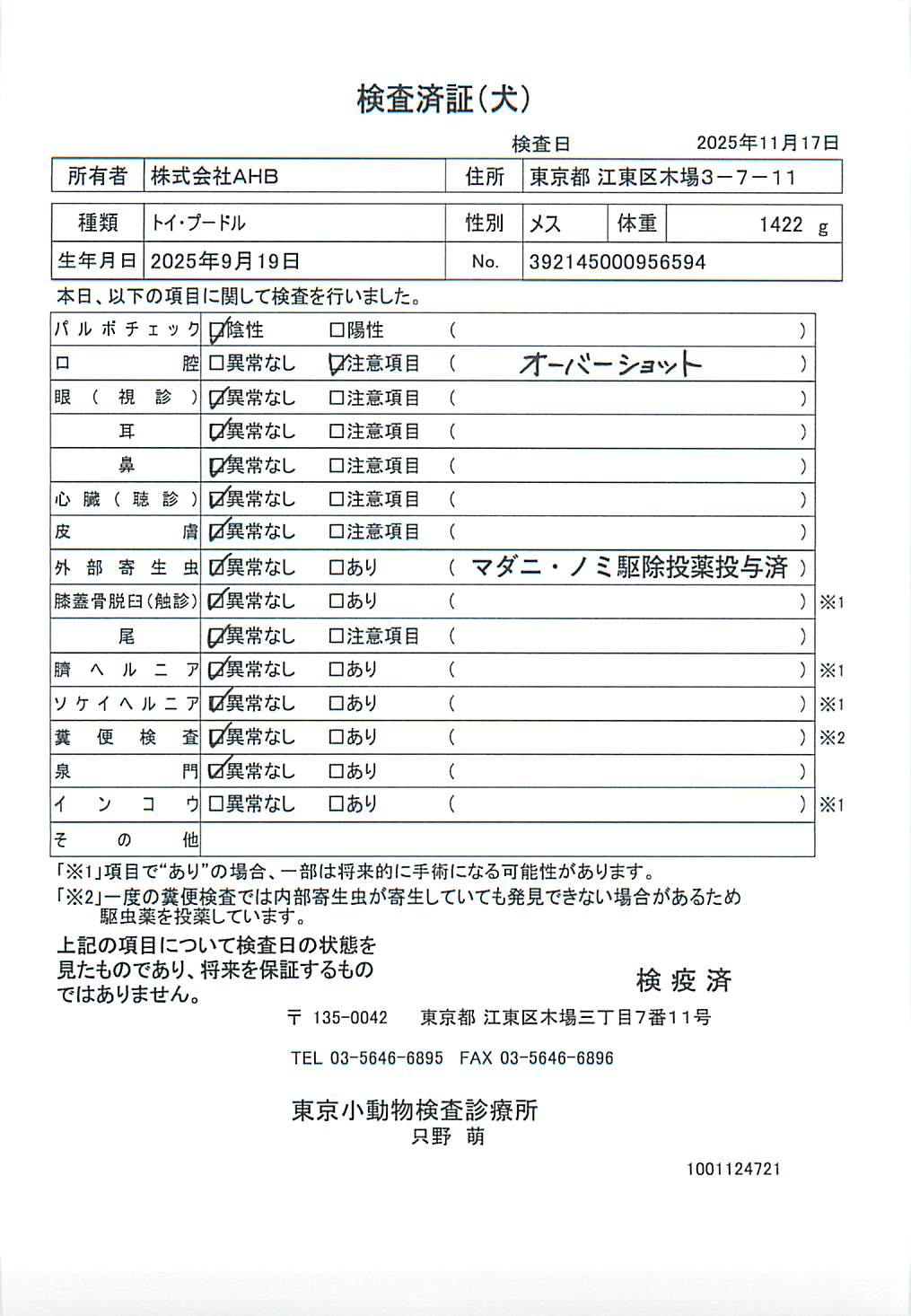 トイ・プードル