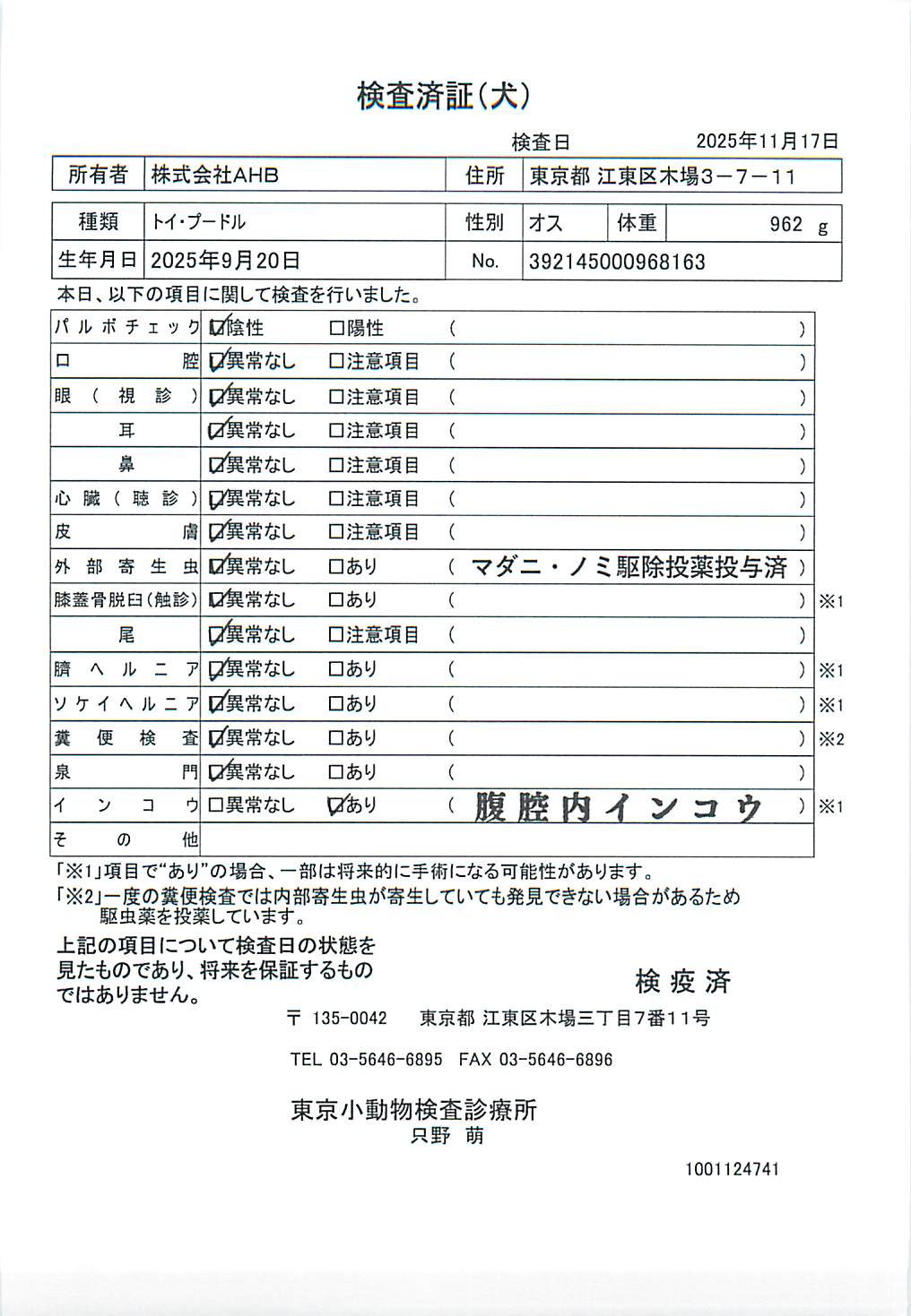 トイ・プードル