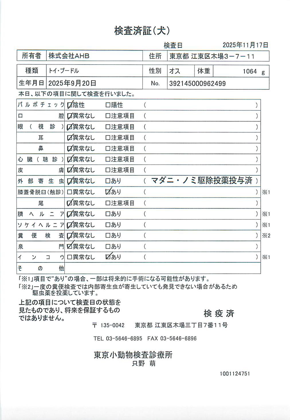 トイ・プードル