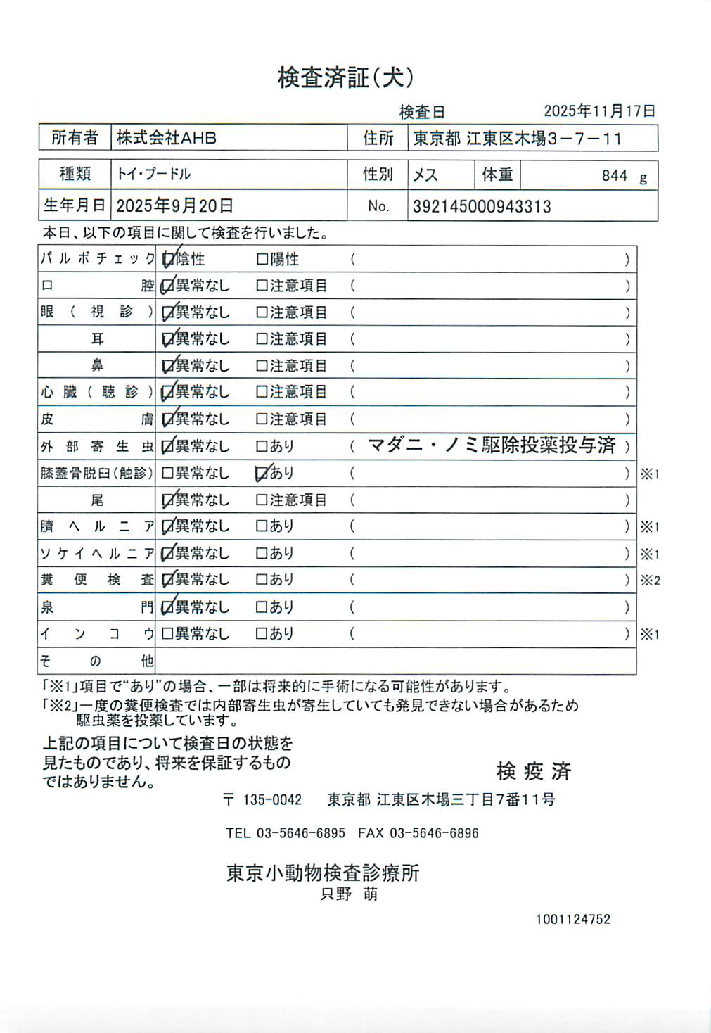 トイ・プードル