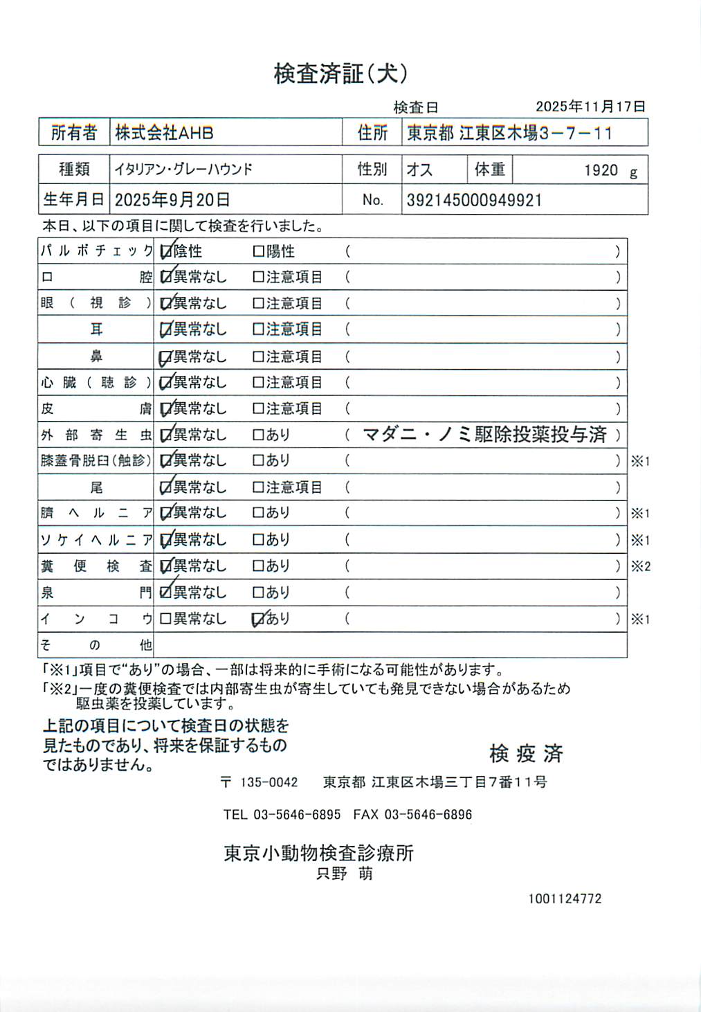 イタリアン・グレーハウンド
