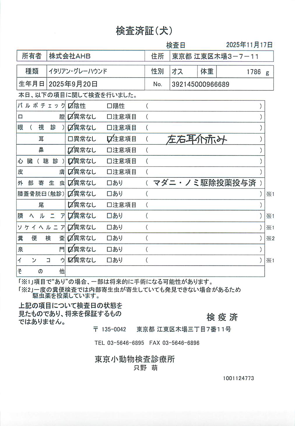 イタリアン・グレーハウンド