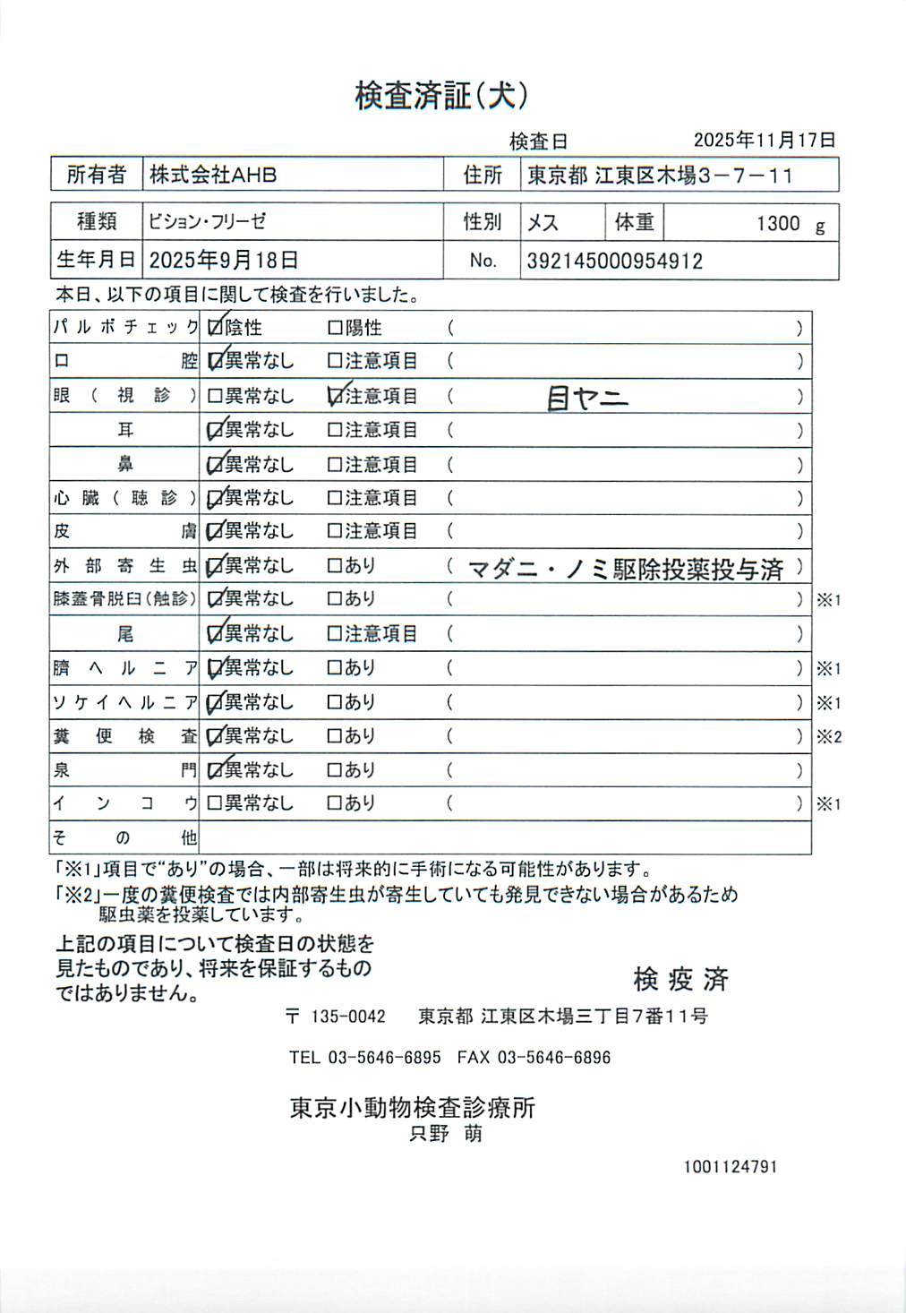 ビション・フリーゼ