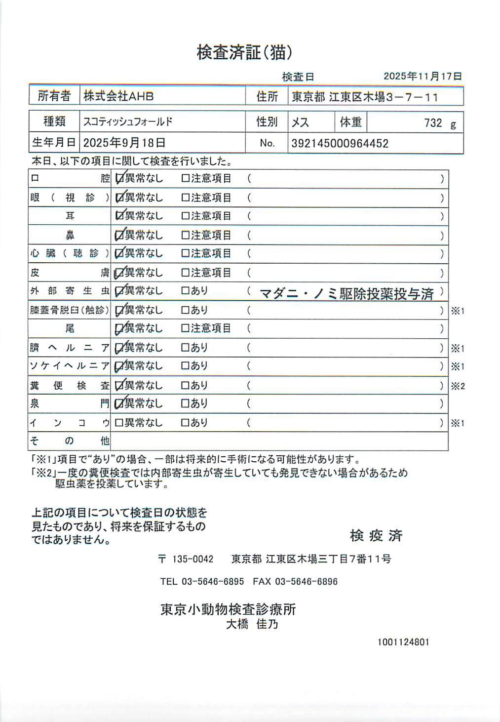 スコティッシュフォールド