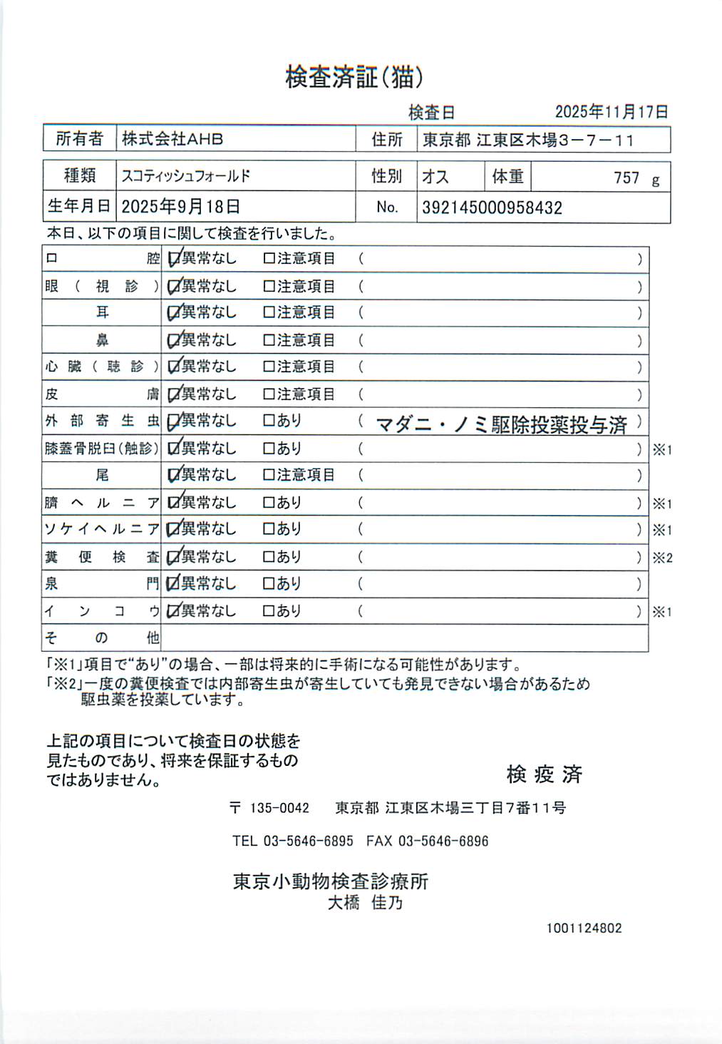 スコティッシュフォールド