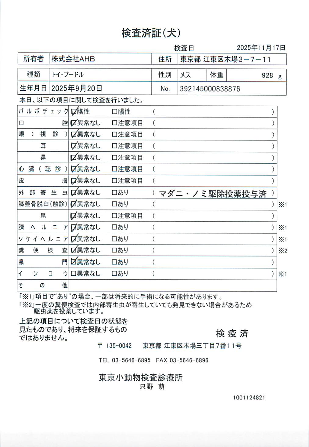 トイ・プードル