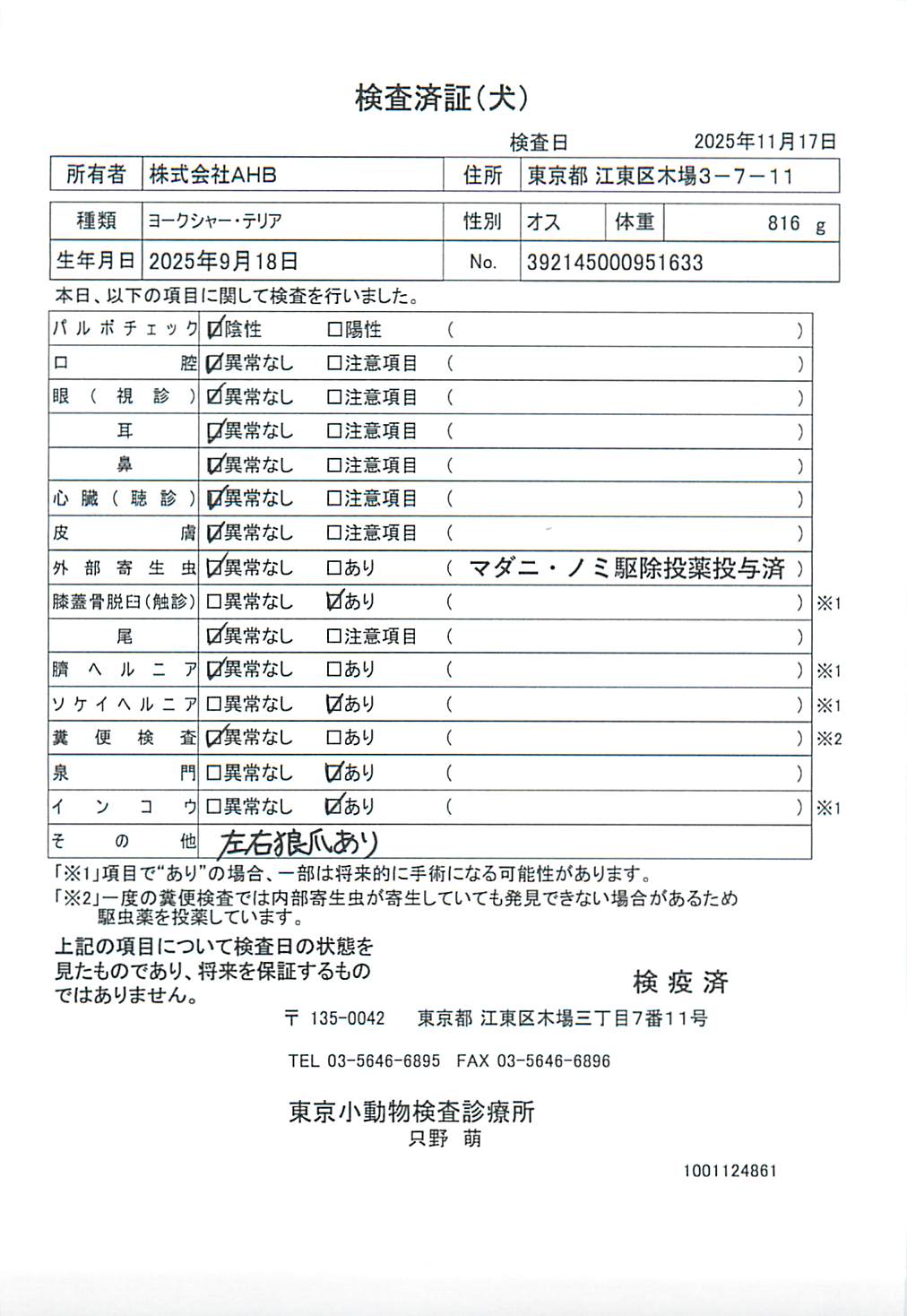 ヨークシャー・テリア