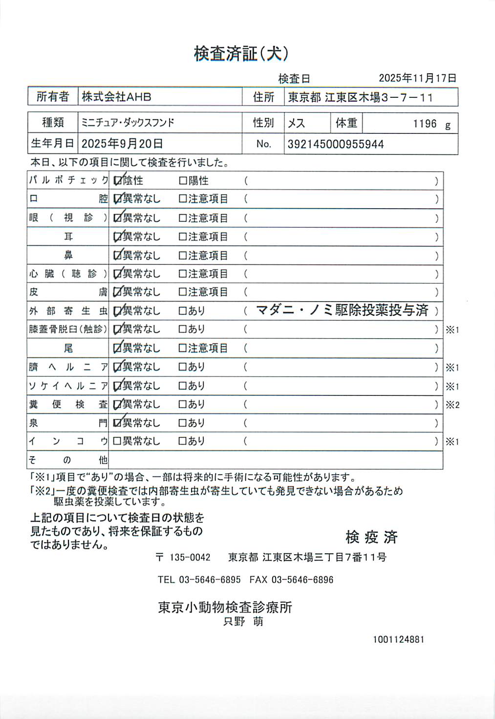 ミニチュア・ダックスフンド