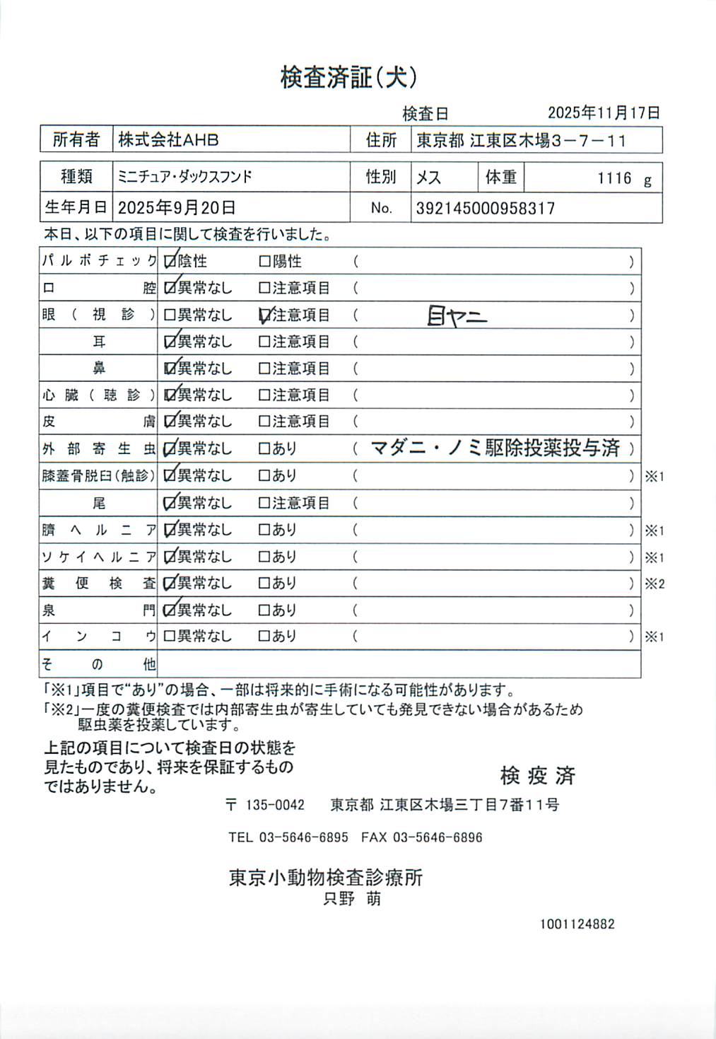ミニチュア・ダックスフンド