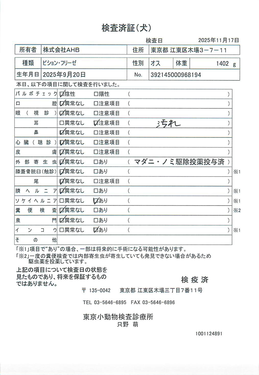 ビション・フリーゼ