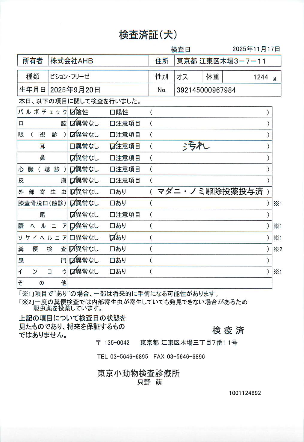ビション・フリーゼ