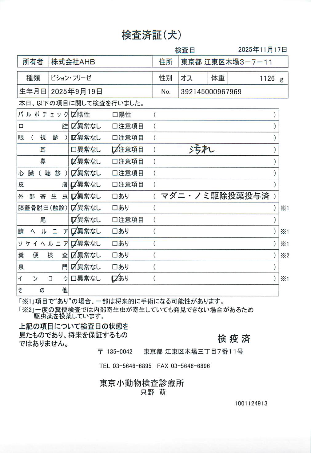 ビション・フリーゼ