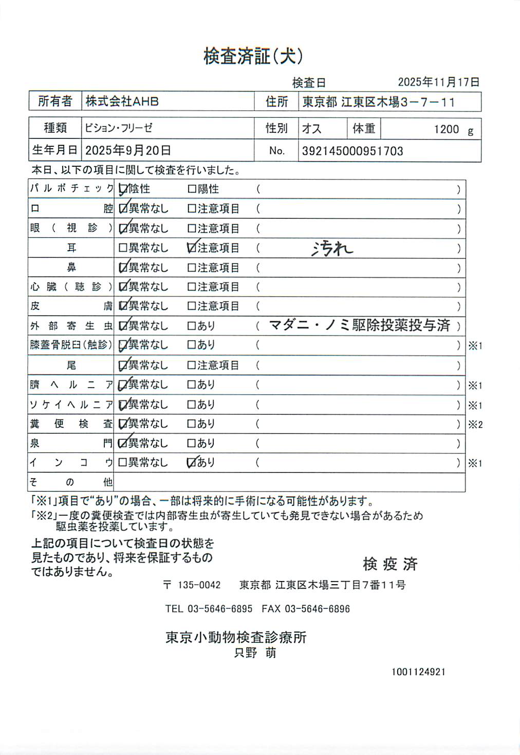 ビション・フリーゼ