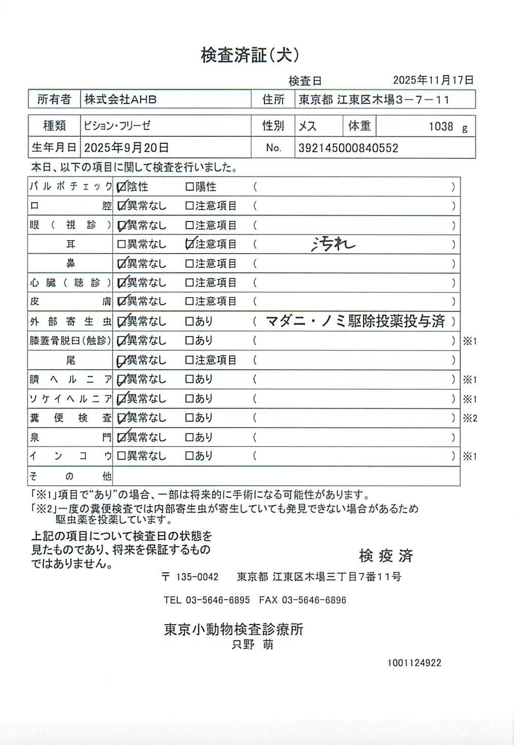 ビション・フリーゼ