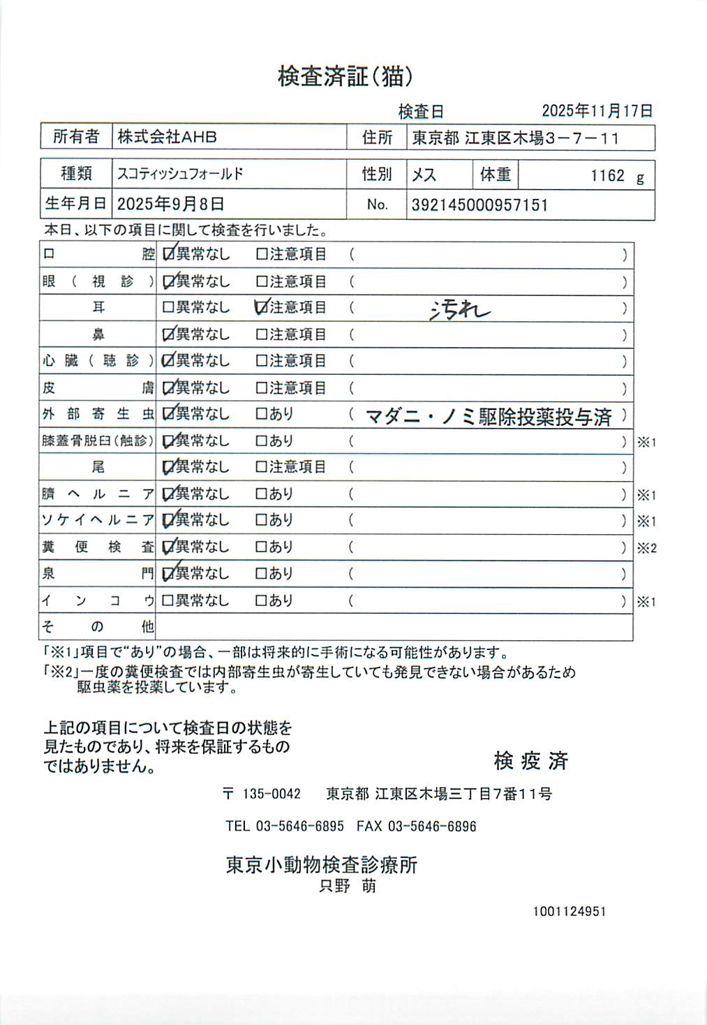 スコティッシュフォールド