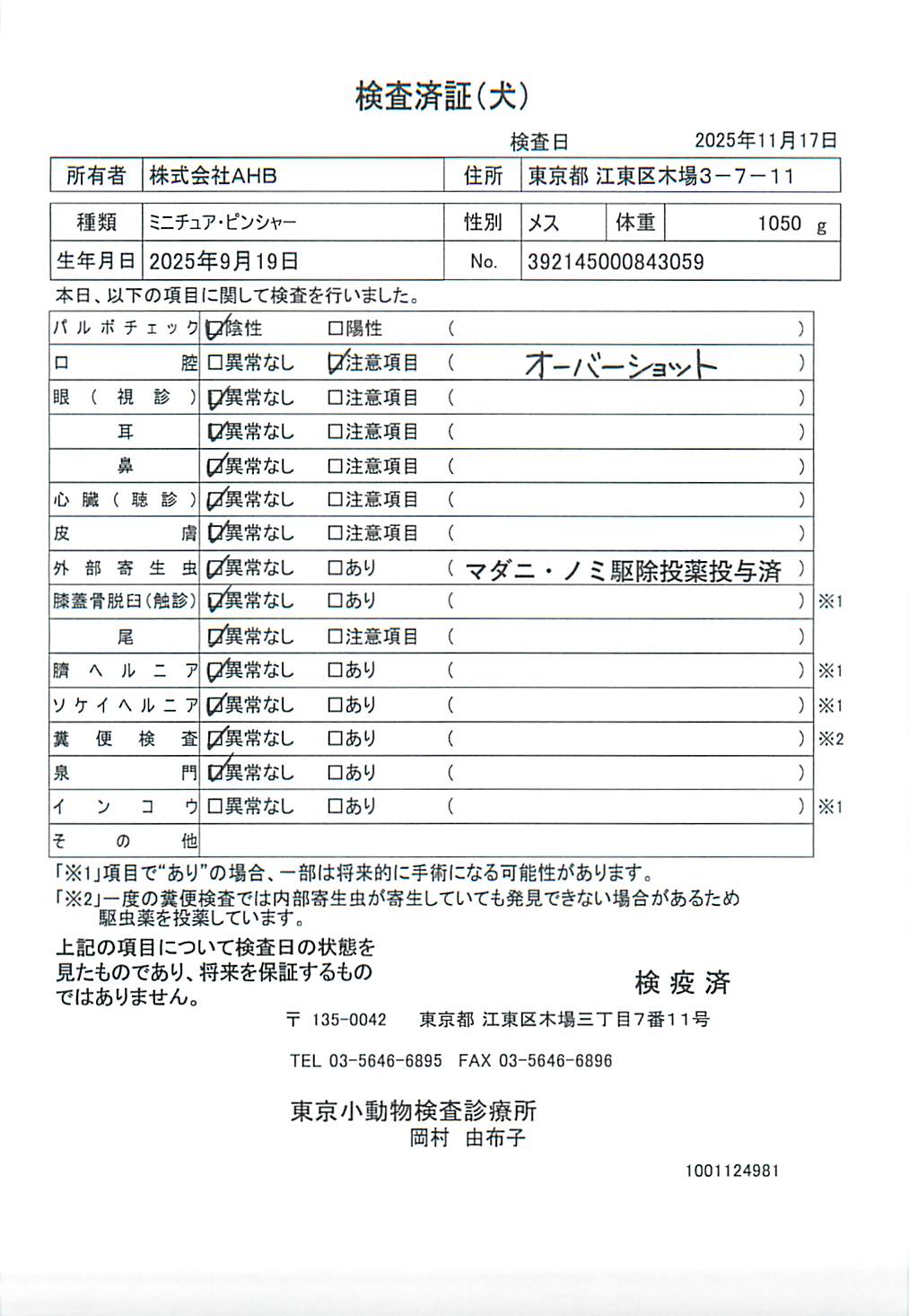 ミニチュア・ピンシャー