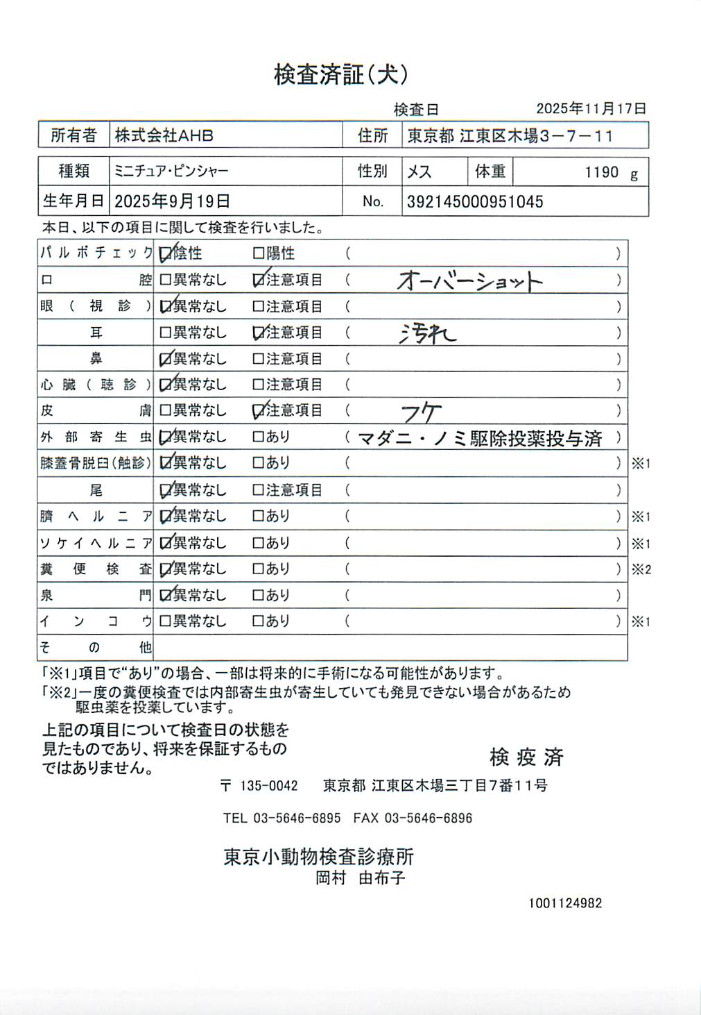 ミニチュア・ピンシャー