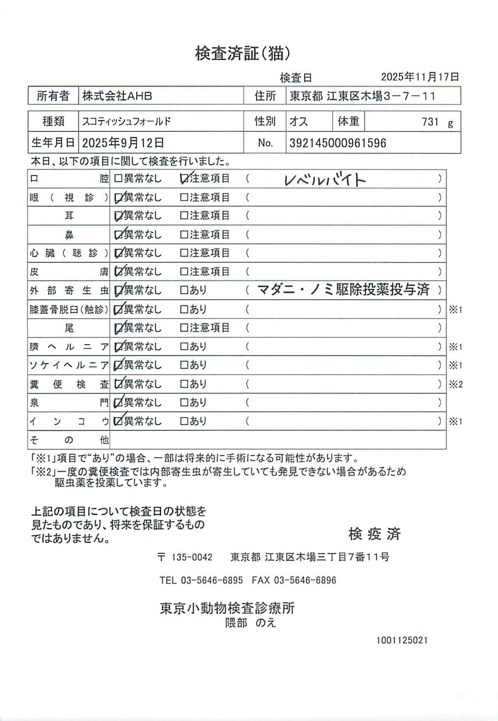 スコティッシュフォールド