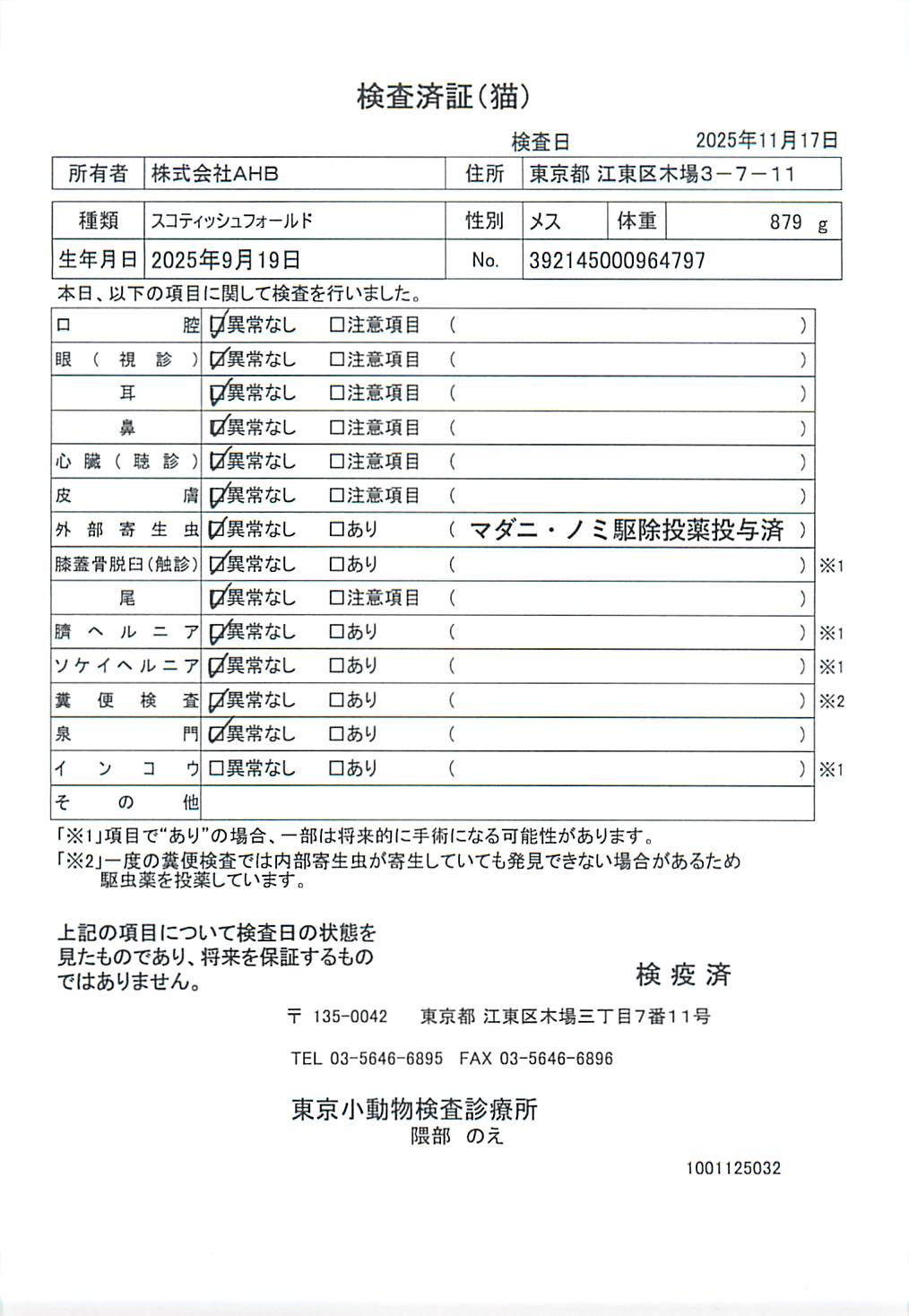 スコティッシュフォールド