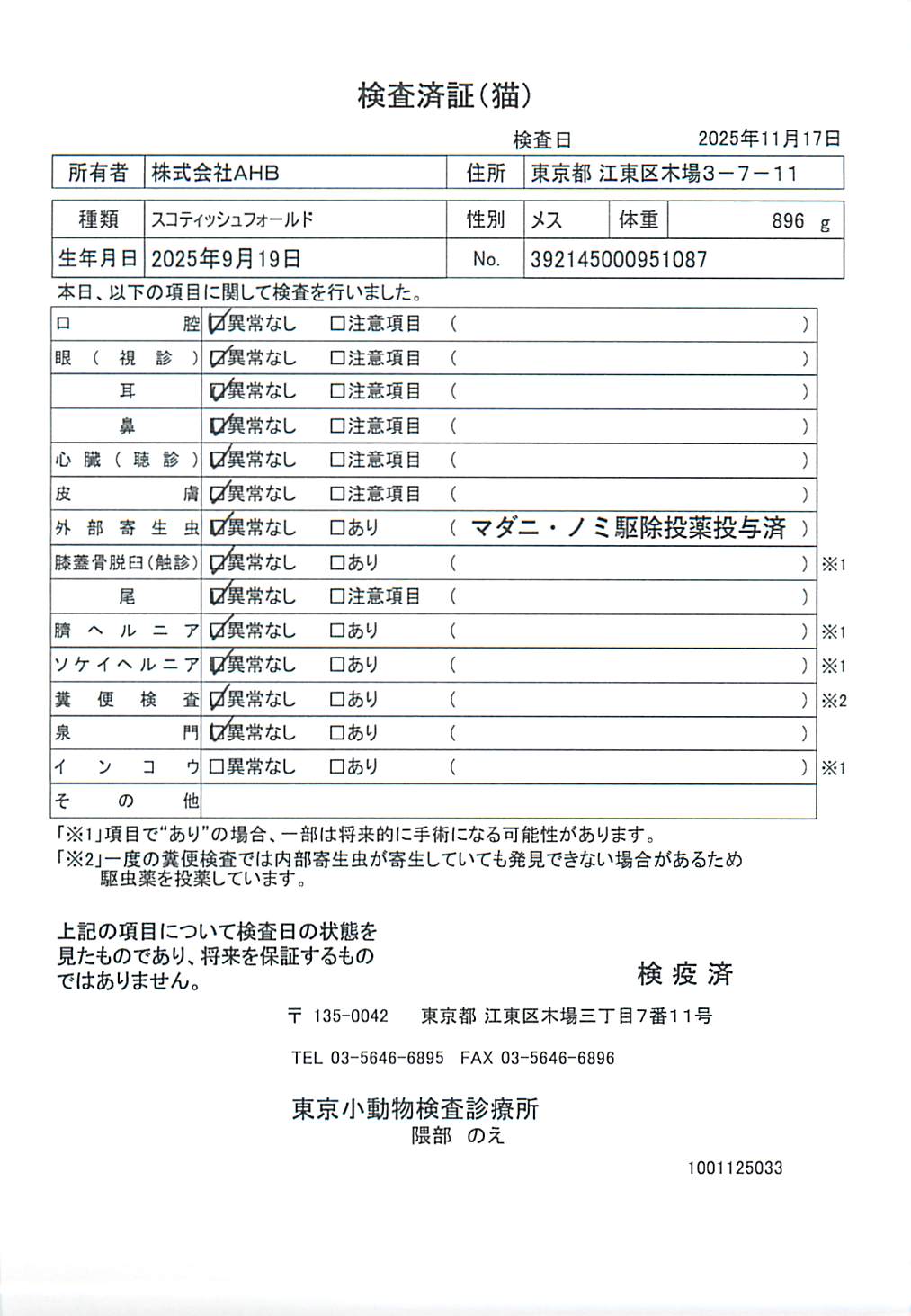 スコティッシュフォールド