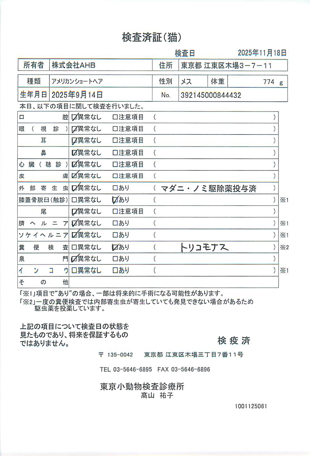 アメリカンショートヘア
