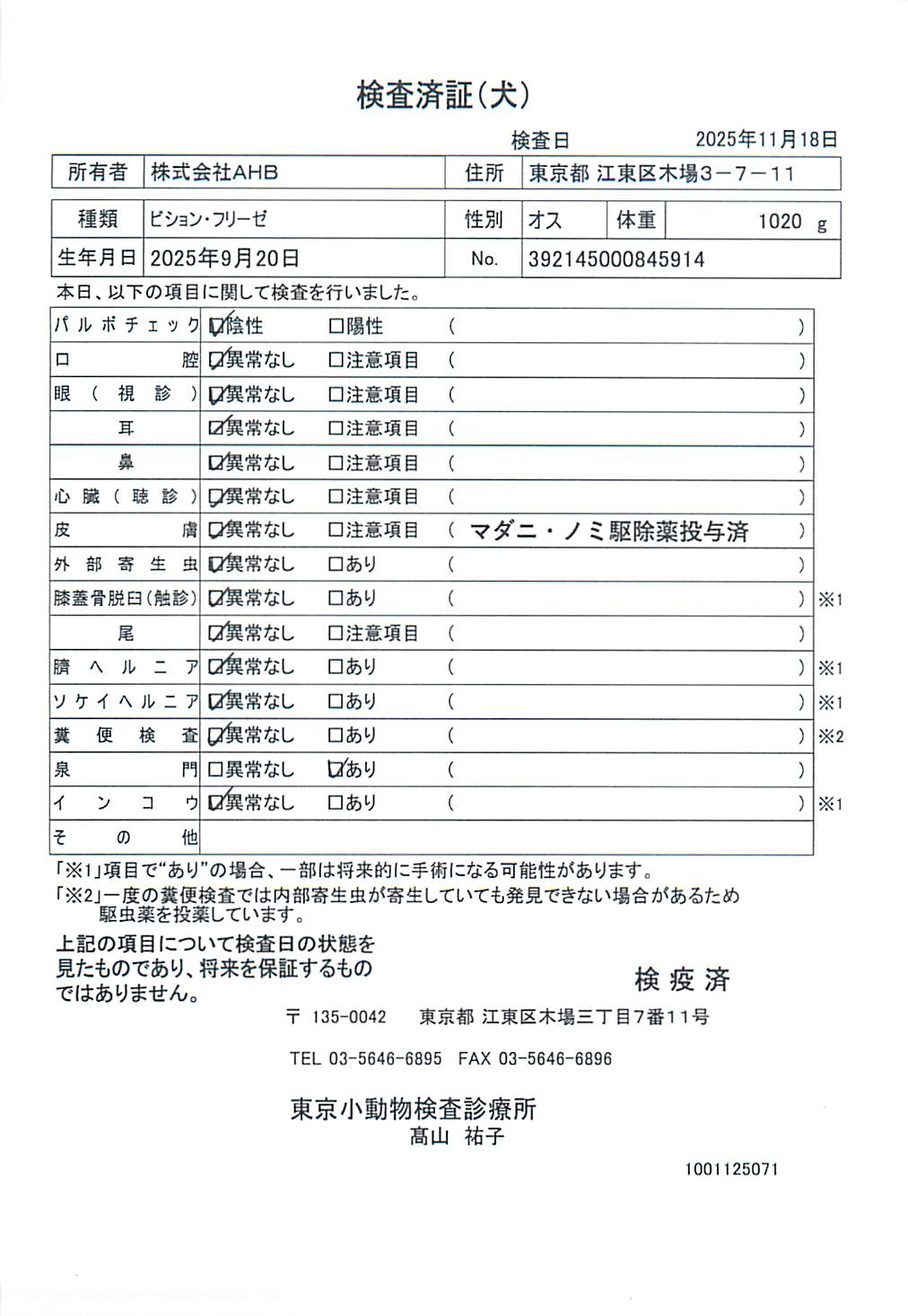 ビション・フリーゼ