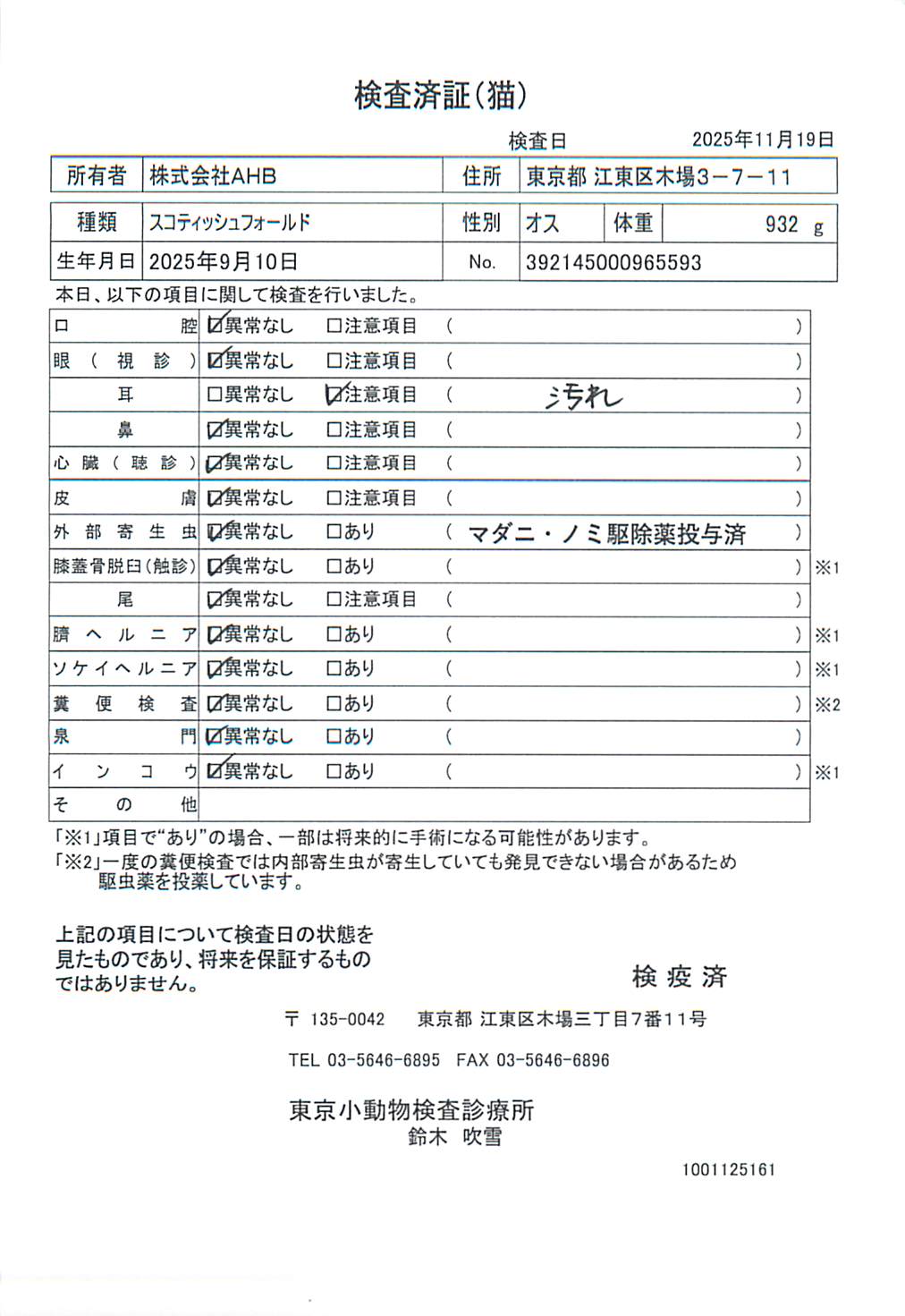 スコティッシュフォールド