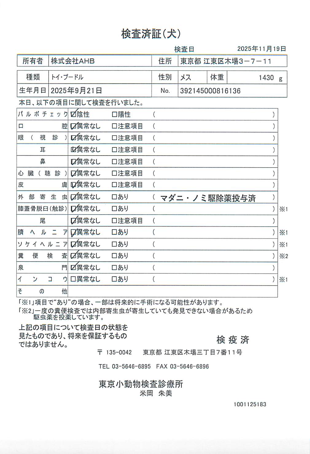 トイ・プードル