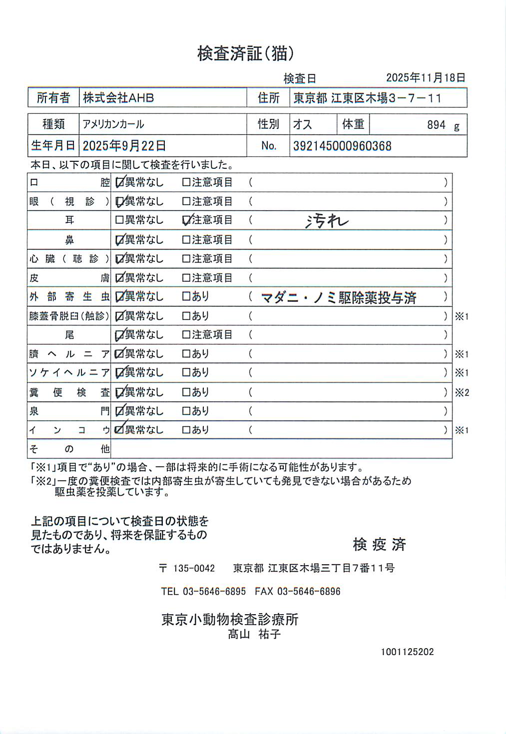 アメリカンカール