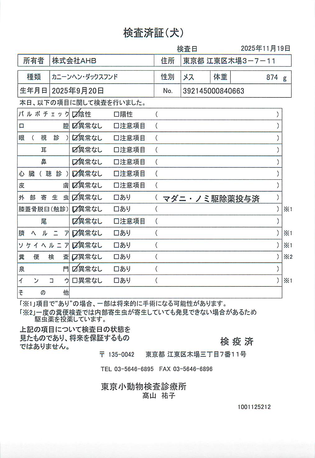 カニーンヘン・ダックスフンド