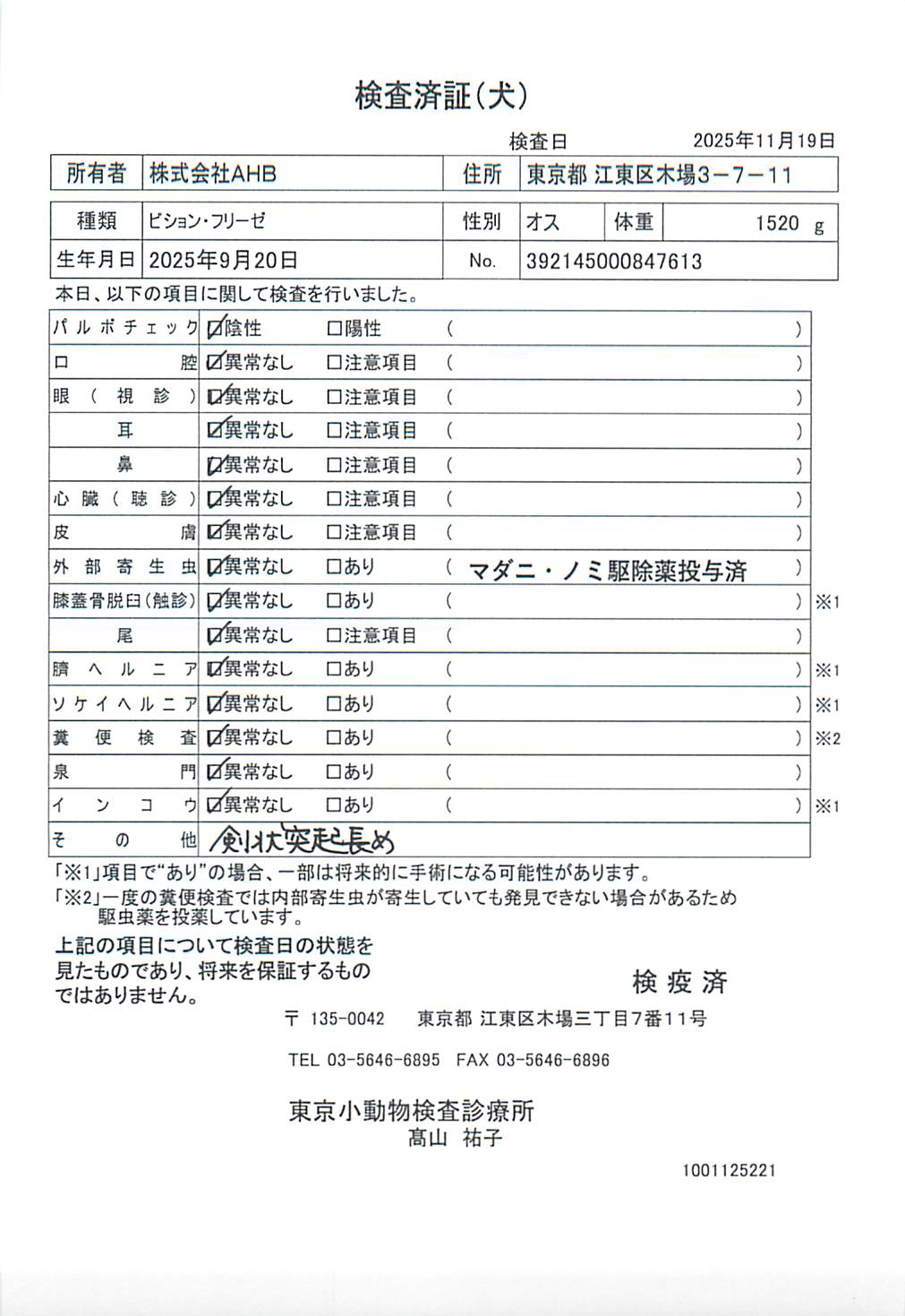 ビション・フリーゼ