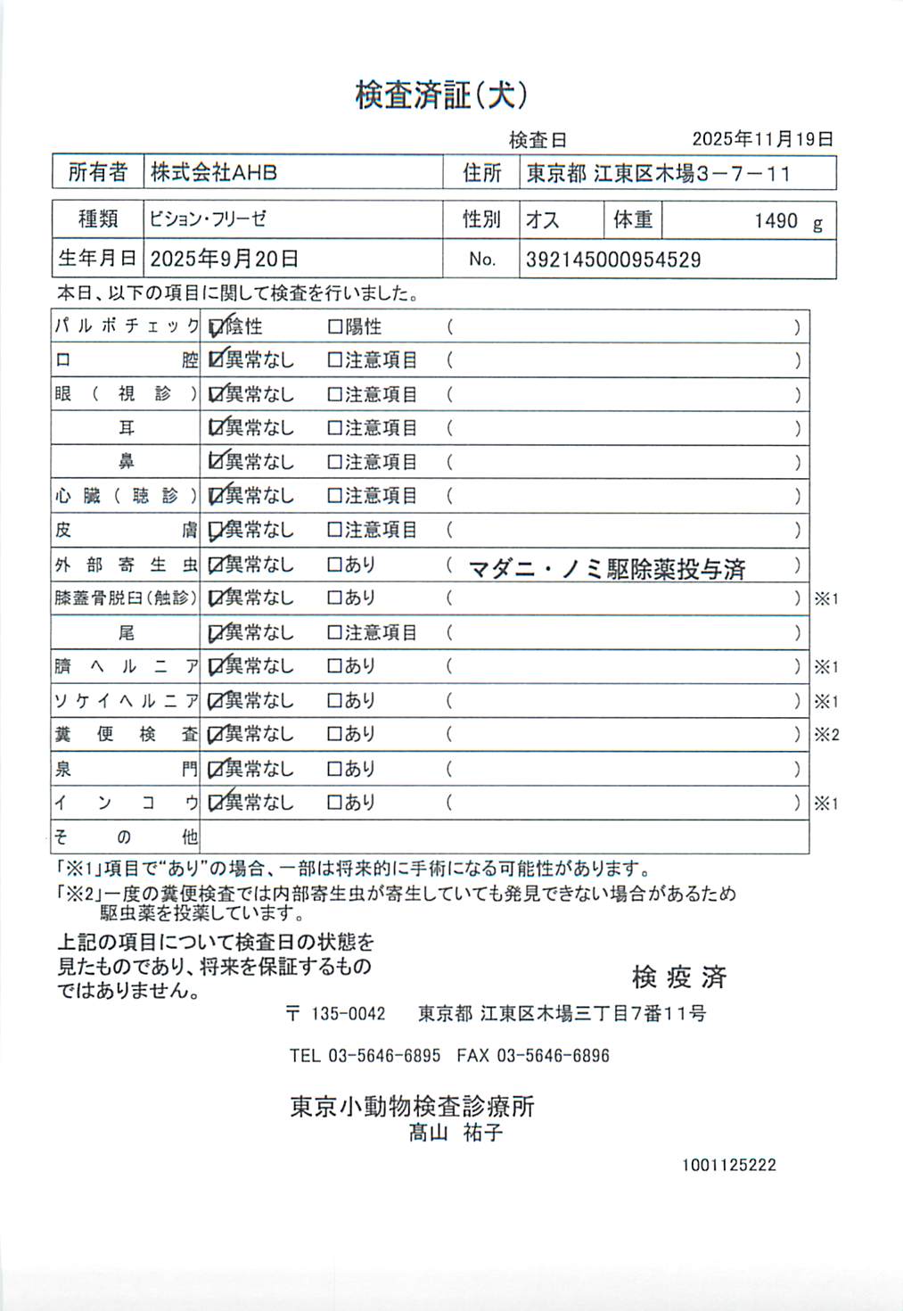 ビション・フリーゼ