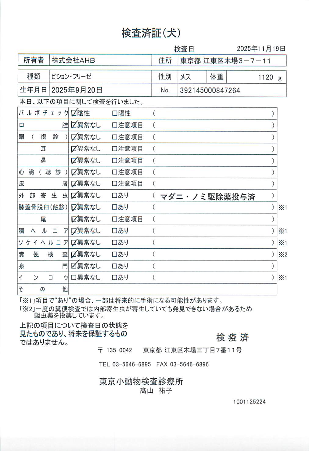 ビション・フリーゼ