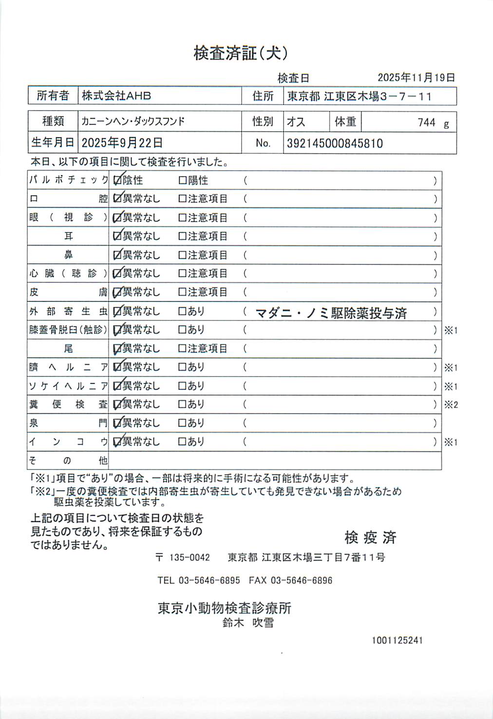 カニーンヘン・ダックスフンド