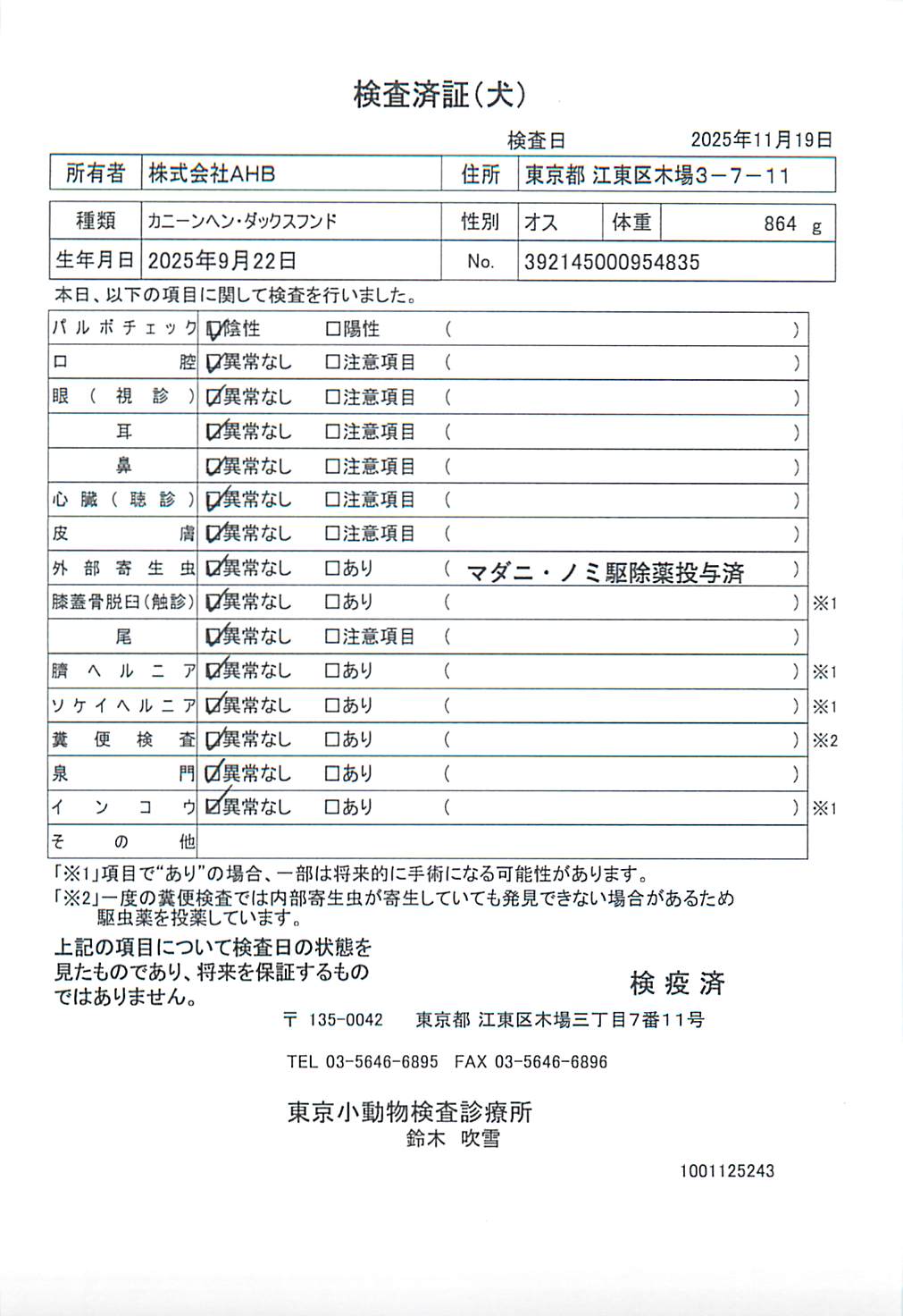 カニーンヘン・ダックスフンド