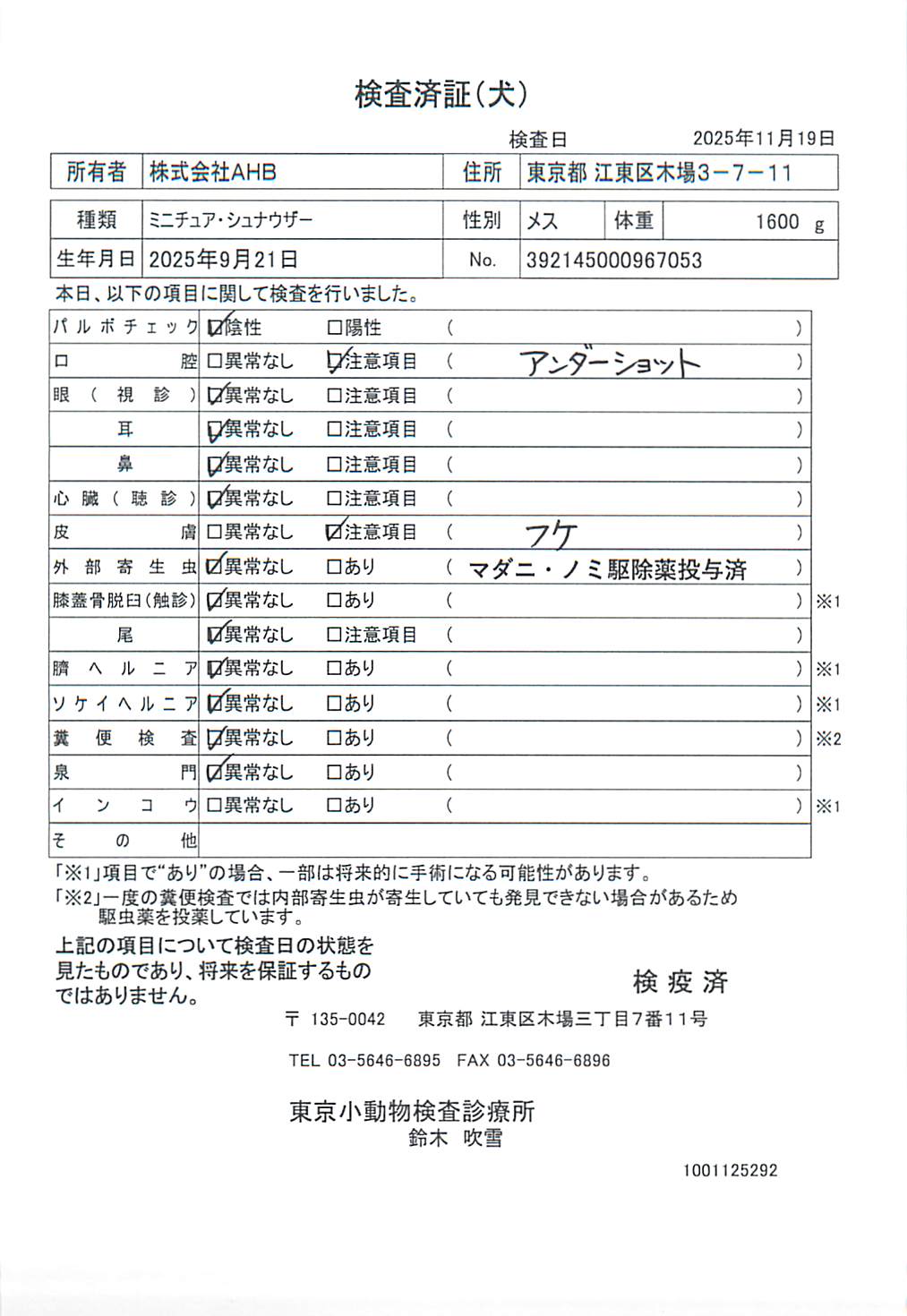 ミニチュア・シュナウザー