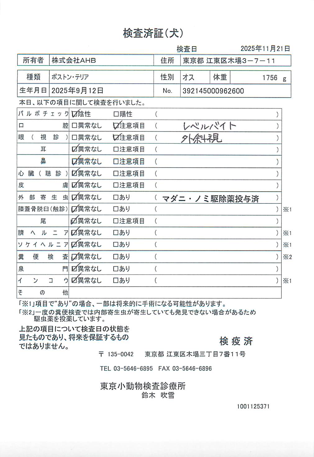 ボストン・テリア