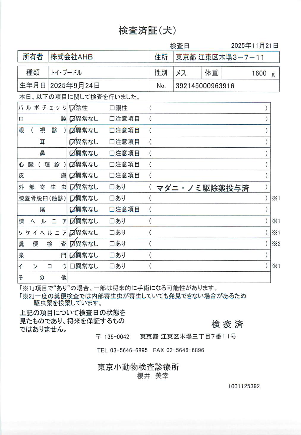 トイ・プードル