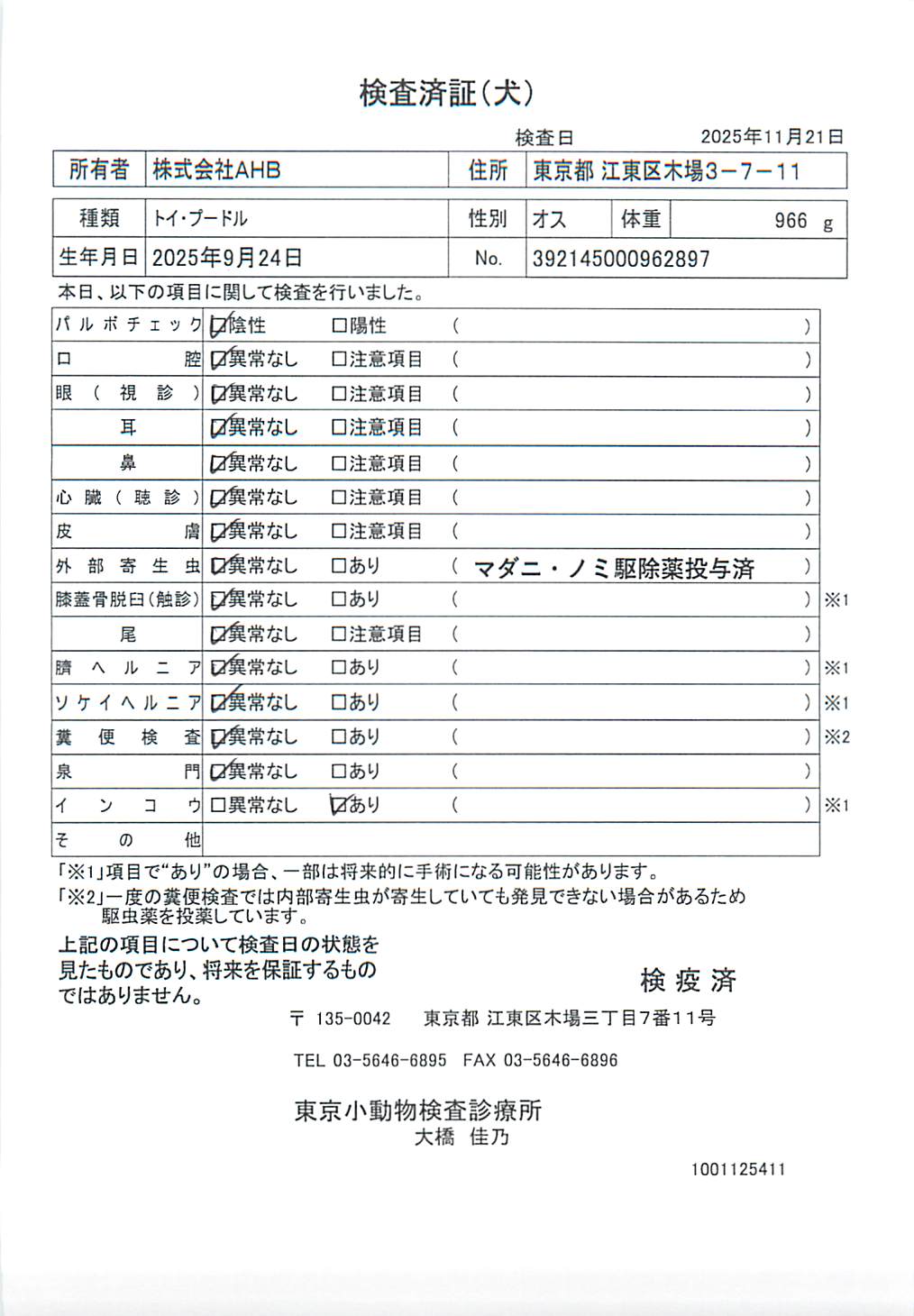 トイ・プードル