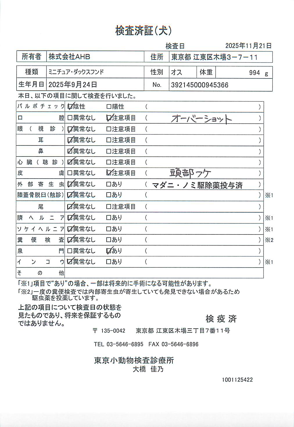 ミニチュア・ダックスフンド