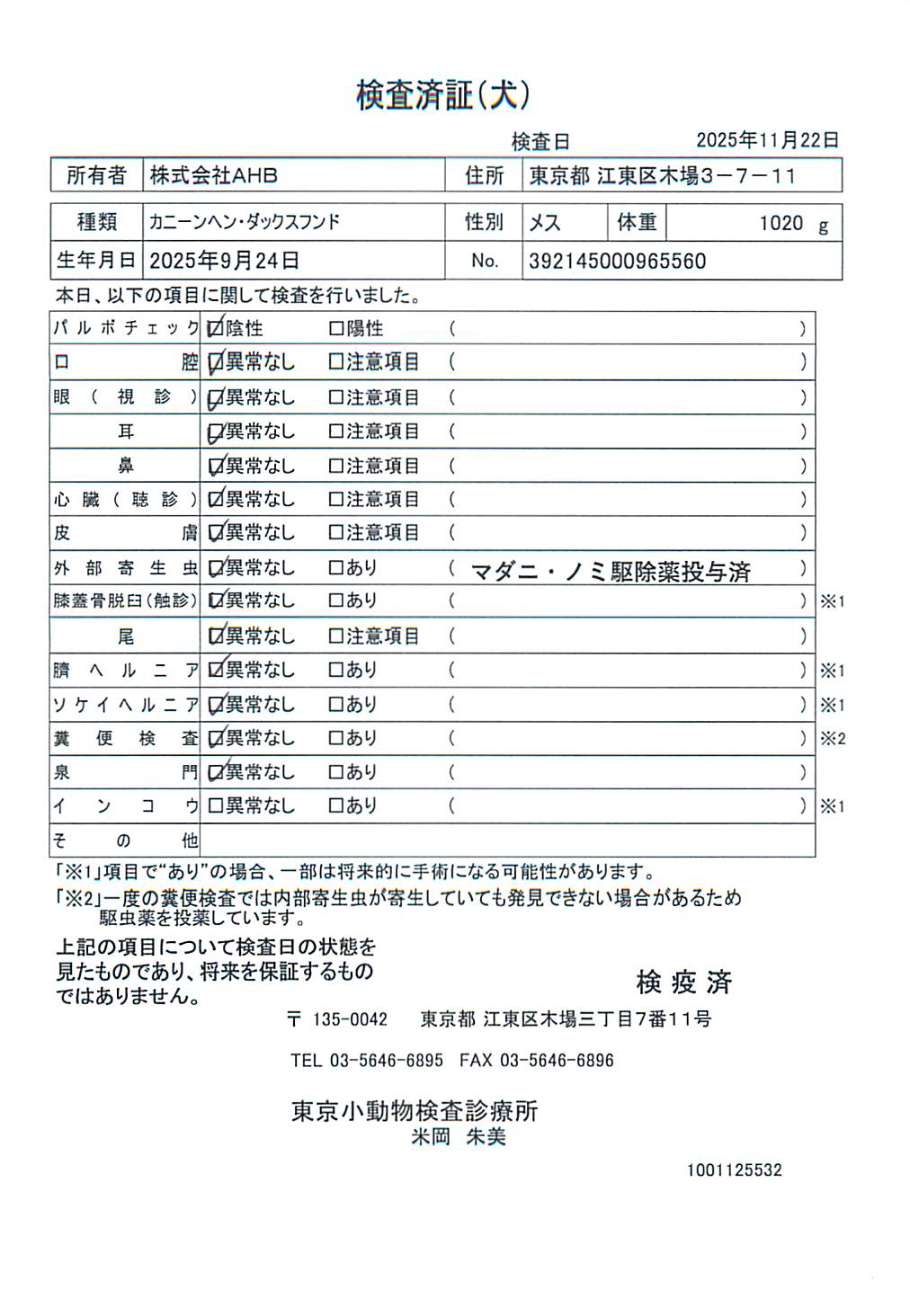 カニーンヘン・ダックスフンド